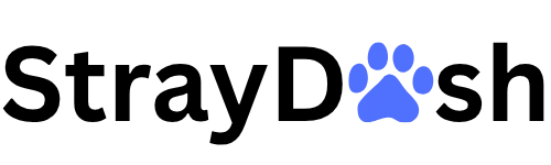 StrayDash